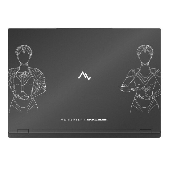 Ноутбук Maibenben X16B (X16B-R98956GQSHBRE3)