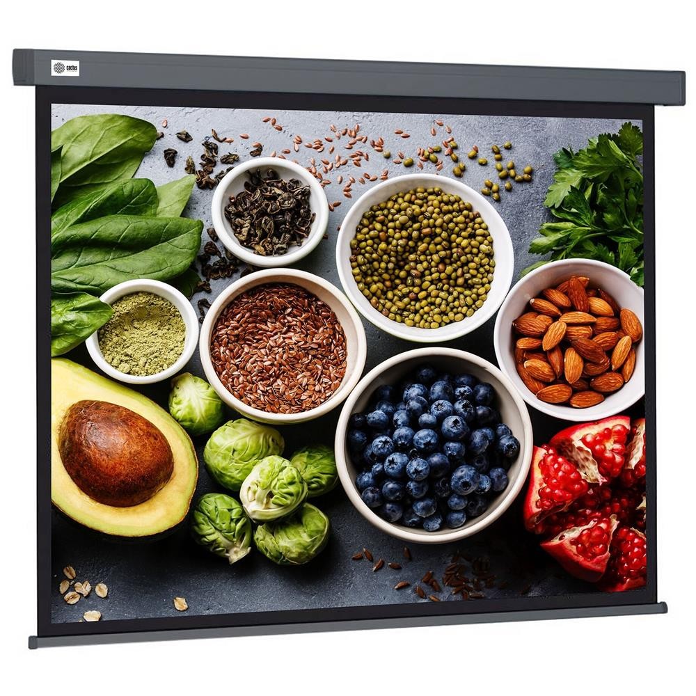 Экран Cactus CS-PSW-150X150-SG Wallscreen настенно-потолочный рулонный серый